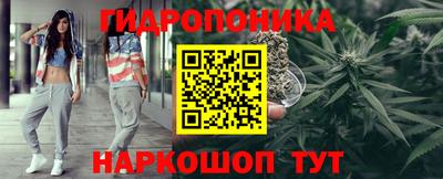 молекула духа Тверь