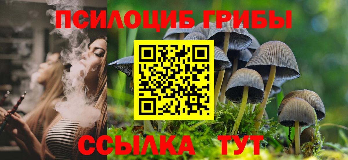 Новосибирск  Псилоцибиновые грибы Cubensis  Псилоцибиновые грибы Cubensis  Вход с VPN 
