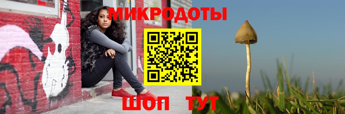 Псилоцибиновые грибы Magic Shrooms Новосибирск